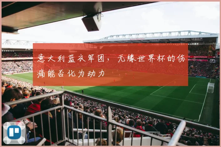 意大利蓝衣军团，无缘世界杯的伤痛能否化为动力