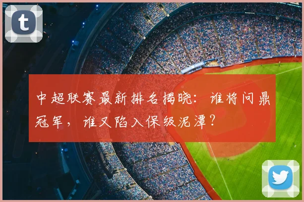 中超联赛最新排名揭晓：谁将问鼎冠军，谁又陷入保级泥潭？