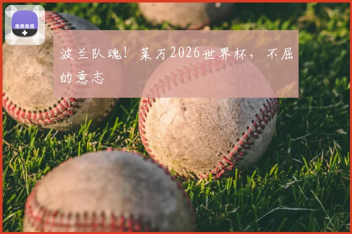 波兰队魂!莱万2026世界杯,不屈的意志